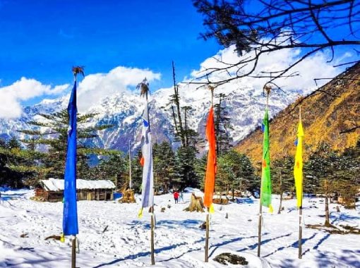 Sikkim Landscape