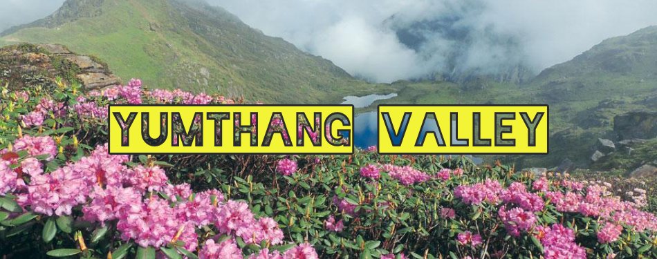 Yumthang valley - The valley of flowers