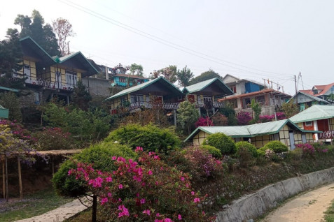 Himalayan Eagle Homestay