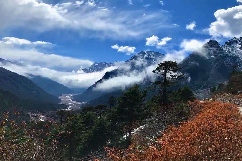 gangtok yumthang valley package tour