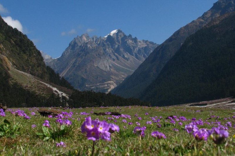 yumthang tour package