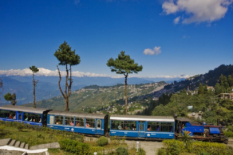 darjeeling tour plan for 6 days